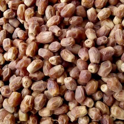 خرمای زاهدی 